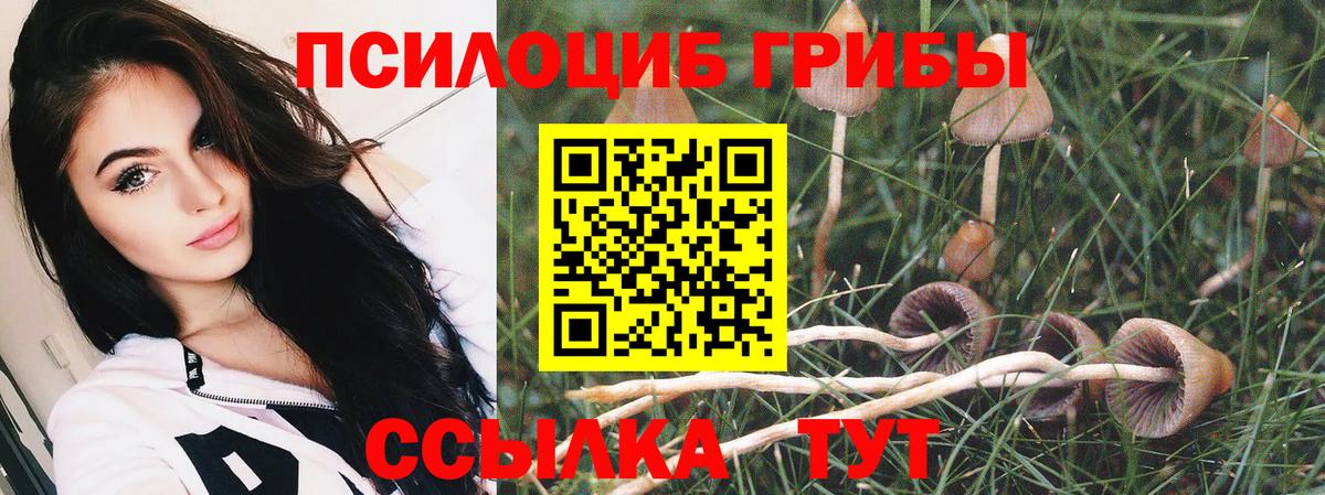 Галлюциногенные грибы Конаково
