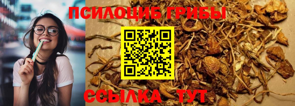 Псилоцибиновые грибы ЛСД  Галлюциногенные грибы прущие грибы  Конаково  Вход с VPN 
