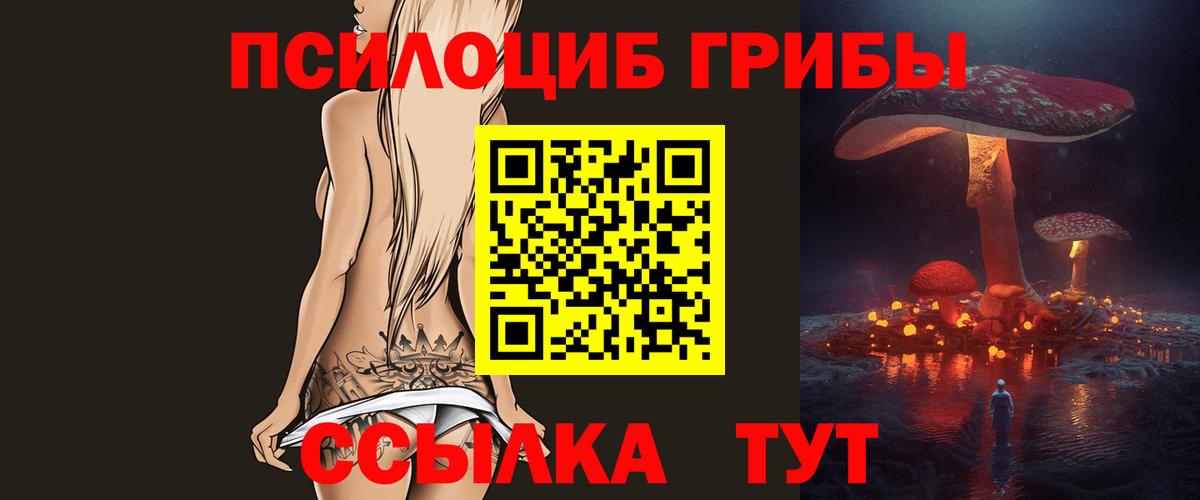 Псилоцибиновые грибы прущие грибы Конаково