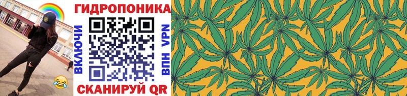 Конопля марихуана продажа наркотиков Конаково